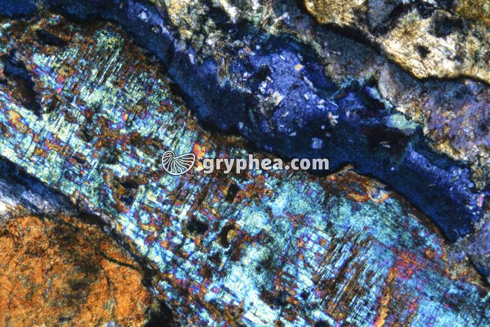Glaucophane LPA P x25 - gryphea.com